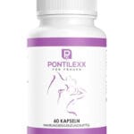 Pontilexx 60 Kapsül